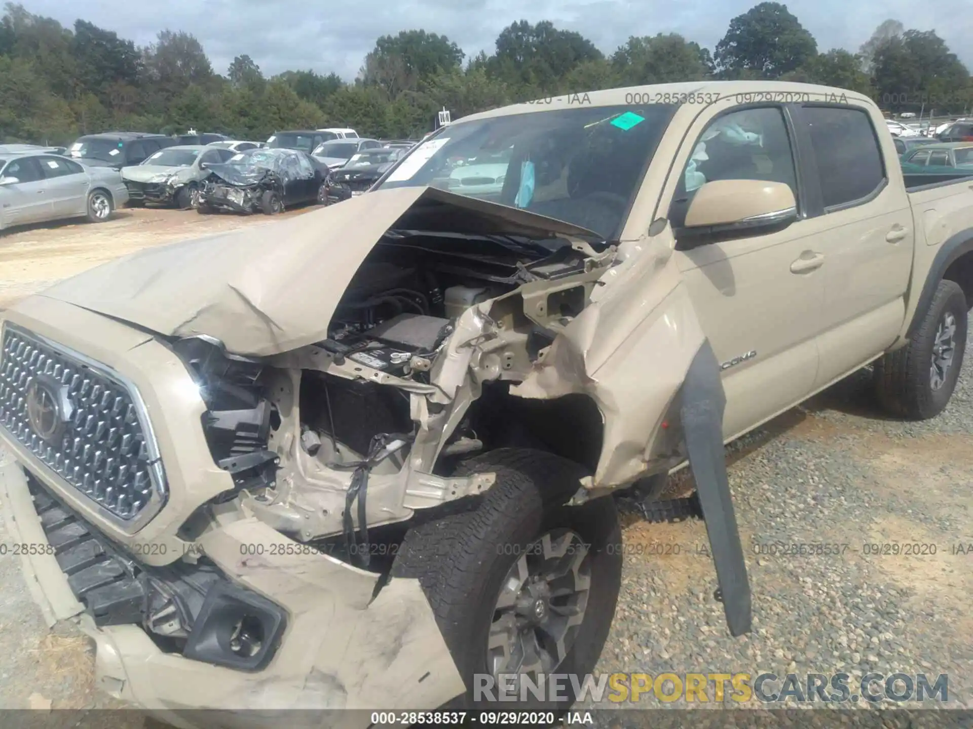 6 Photograph of a damaged car 3TMCZ5ANXKM280665 TOYOTA TACOMA 4WD 2019