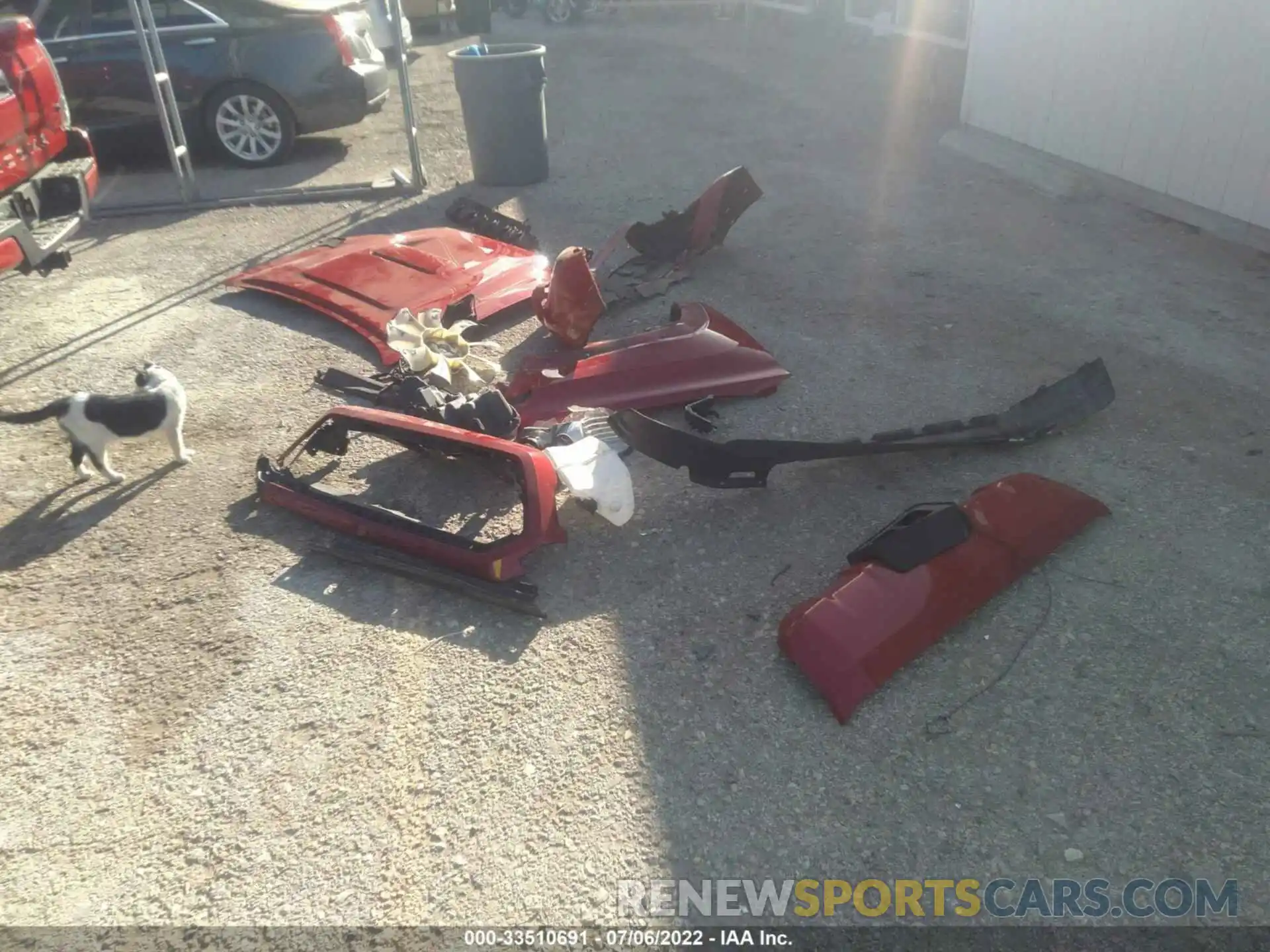 12 Photograph of a damaged car 3TMCZ5AN8LM344266 TOYOTA TACOMA 4WD 2020