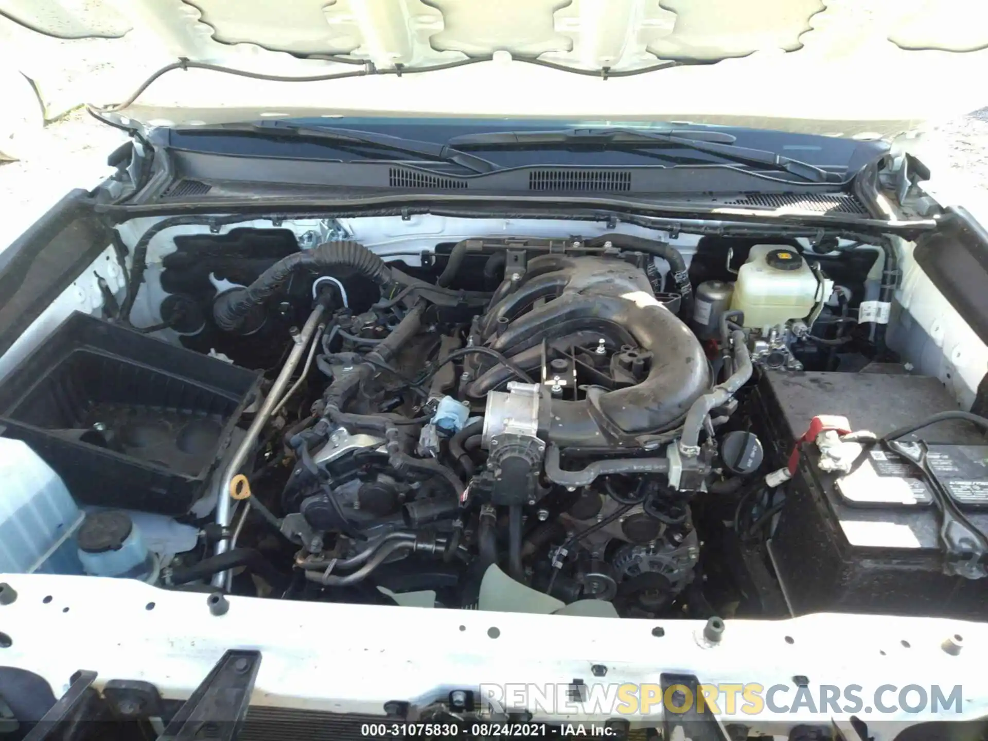 10 Photograph of a damaged car 3TMCZ5AN9LM367586 TOYOTA TACOMA 4WD 2020