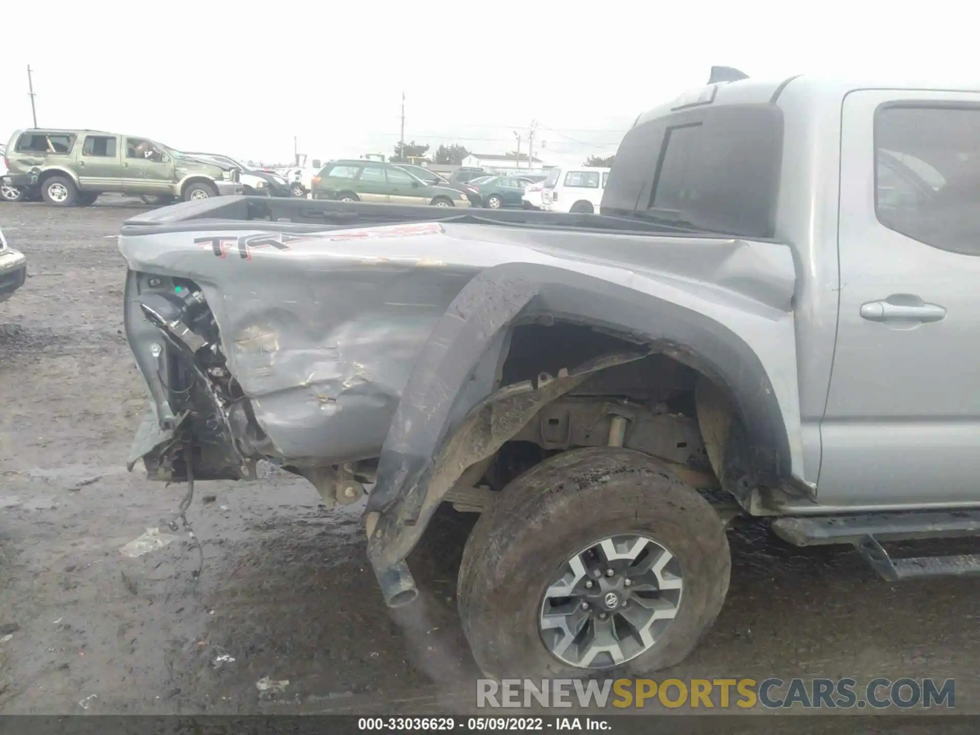 6 Photograph of a damaged car 3TMCZ5AN7MM420481 TOYOTA TACOMA 4WD 2021