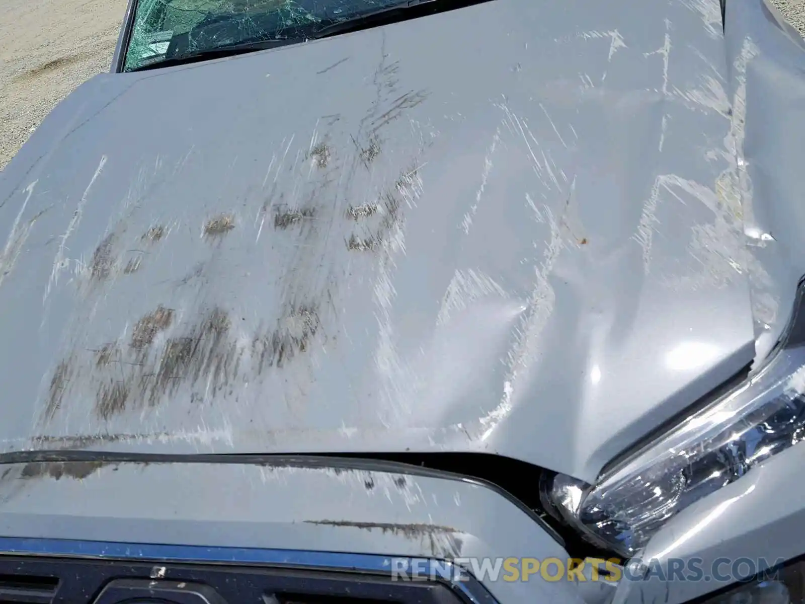 7 Photograph of a damaged car 3TMAZ5CN1KM100719 TOYOTA TACOMA DOU 2019