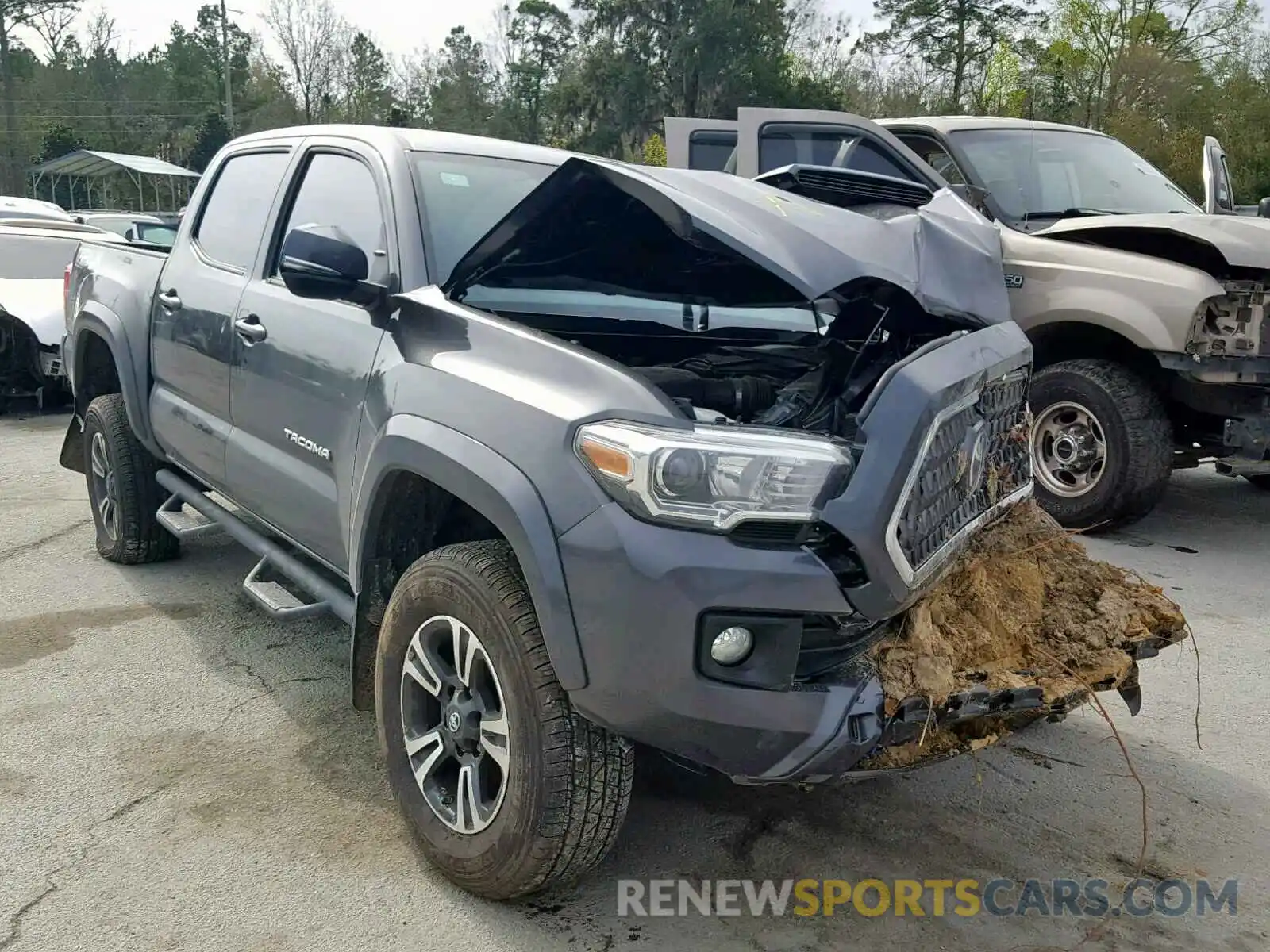 1 Photograph of a damaged car 3TMCZ5AN0KM203206 TOYOTA TACOMA DOU 2019