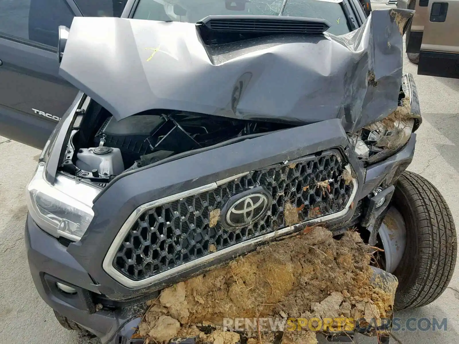 7 Photograph of a damaged car 3TMCZ5AN0KM203206 TOYOTA TACOMA DOU 2019