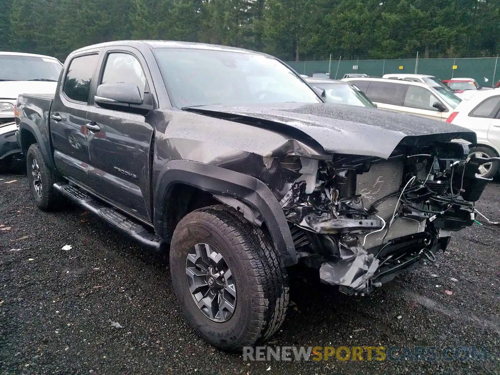 1 Photograph of a damaged car 3TMCZ5AN1KM228969 TOYOTA TACOMA DOU 2019