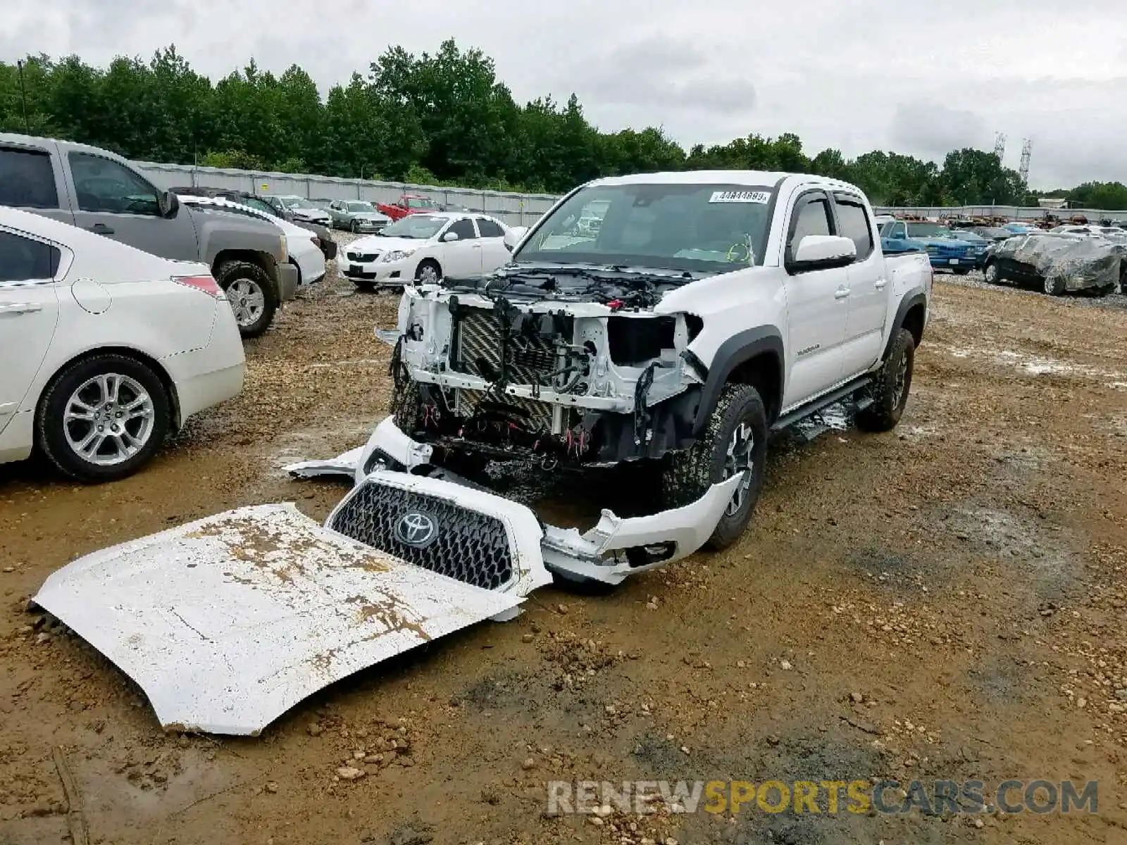 2 Photograph of a damaged car 3TMCZ5AN4KM202916 TOYOTA TACOMA DOU 2019