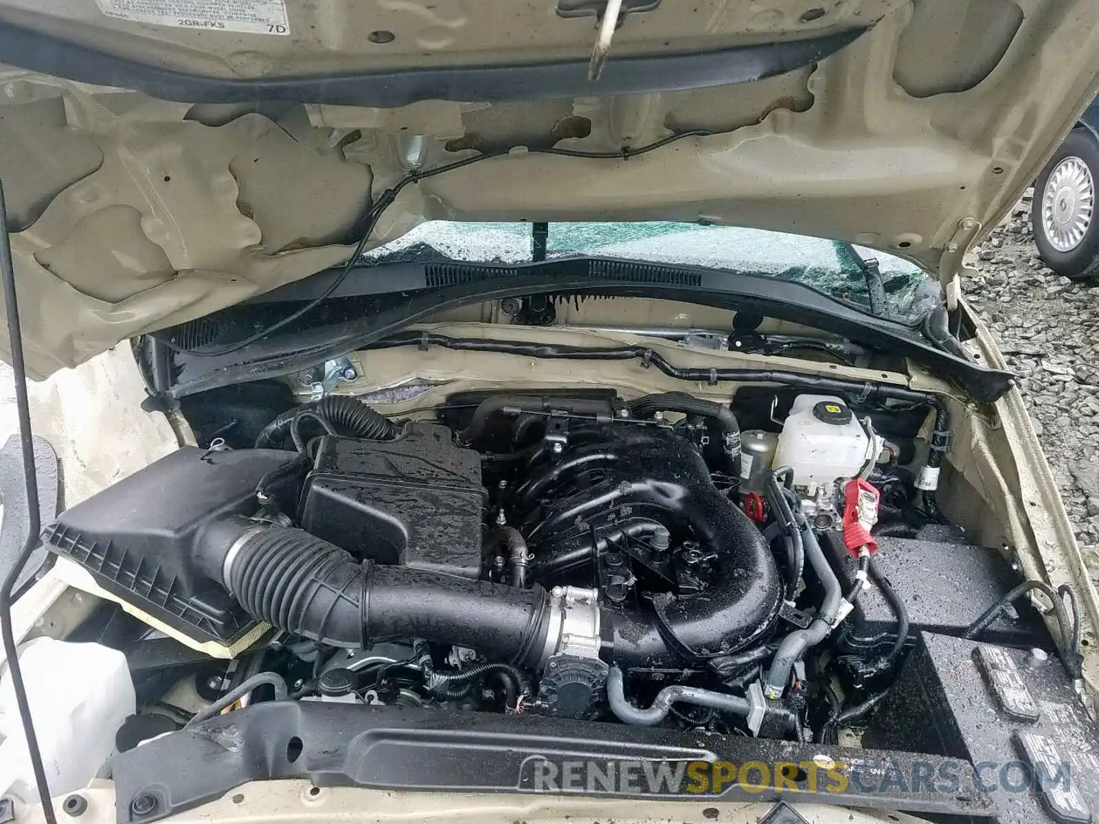 7 Photograph of a damaged car 3TMCZ5AN4KM207808 TOYOTA TACOMA DOU 2019