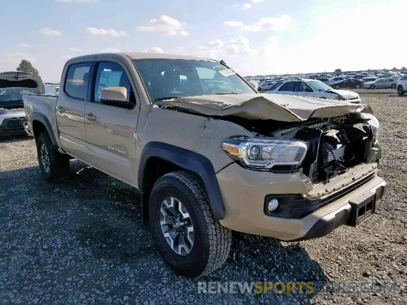 1 Photograph of a damaged car 3TMCZ5AN5KM271131 TOYOTA TACOMA DOU 2019