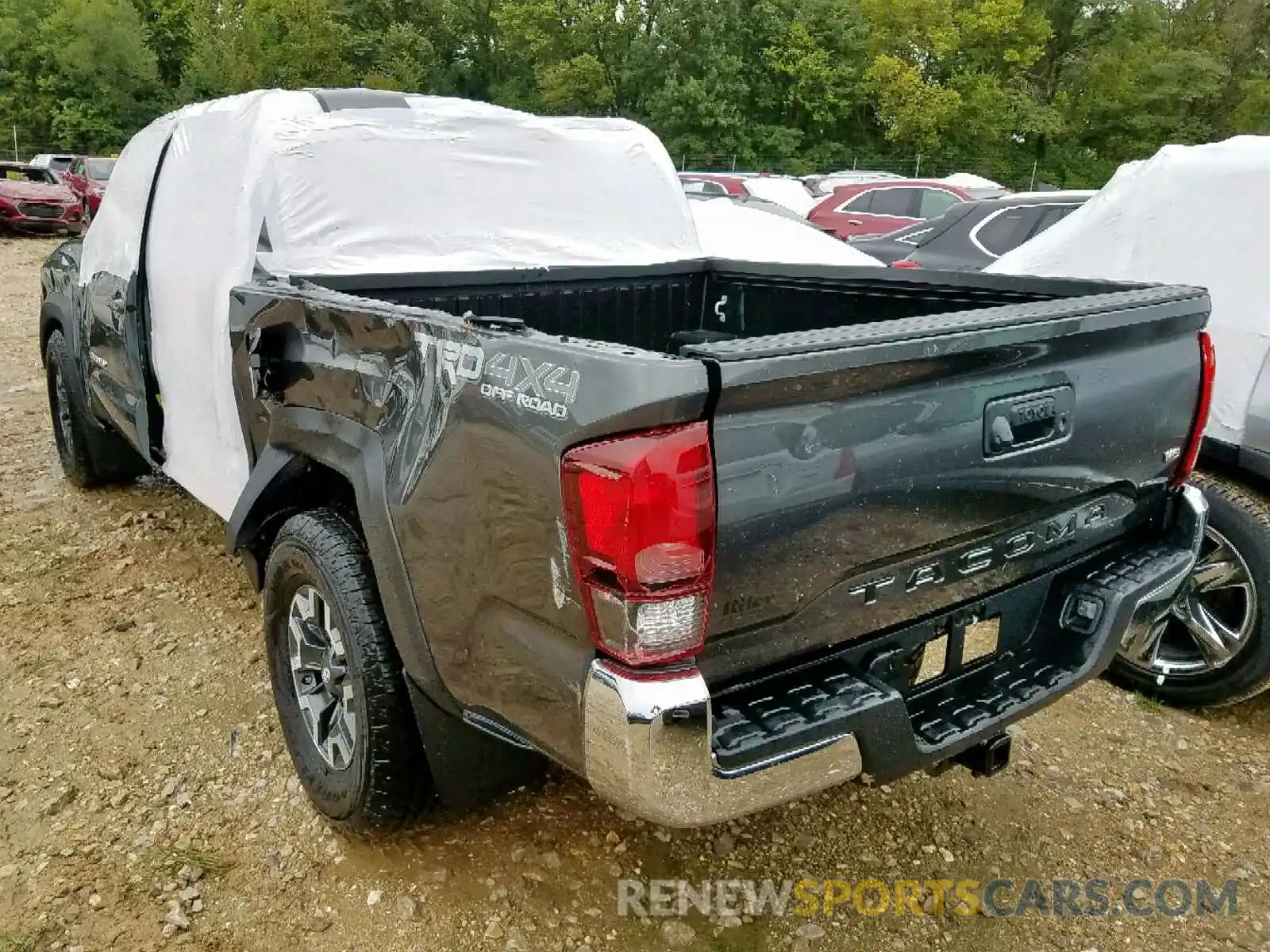 3 Photograph of a damaged car 3TMCZ5AN7KM241273 TOYOTA TACOMA DOU 2019