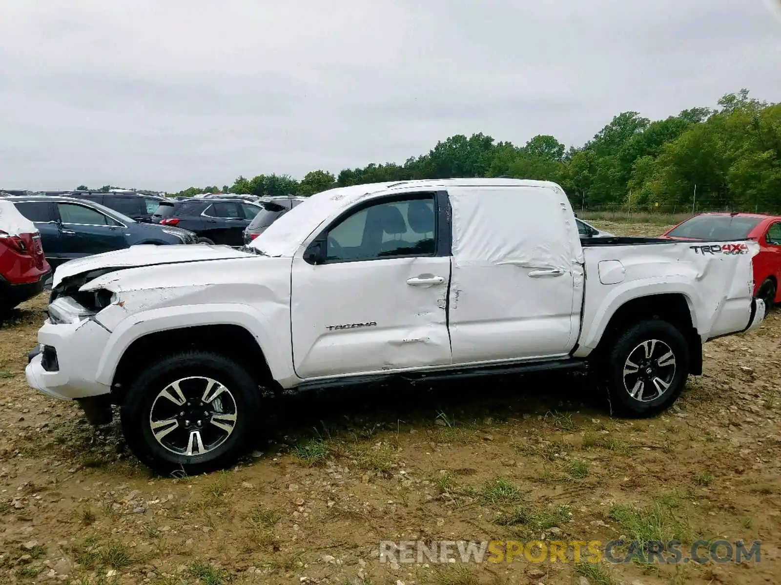 9 Фотография поврежденного автомобиля 3TMCZ5AN8KM193069 TOYOTA TACOMA DOU 2019