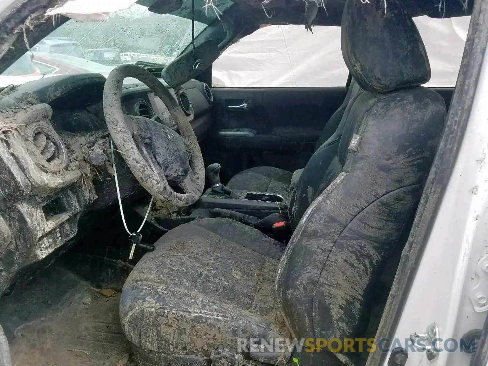 5 Photograph of a damaged car 3TMCZ5AN8KM203115 TOYOTA TACOMA DOU 2019