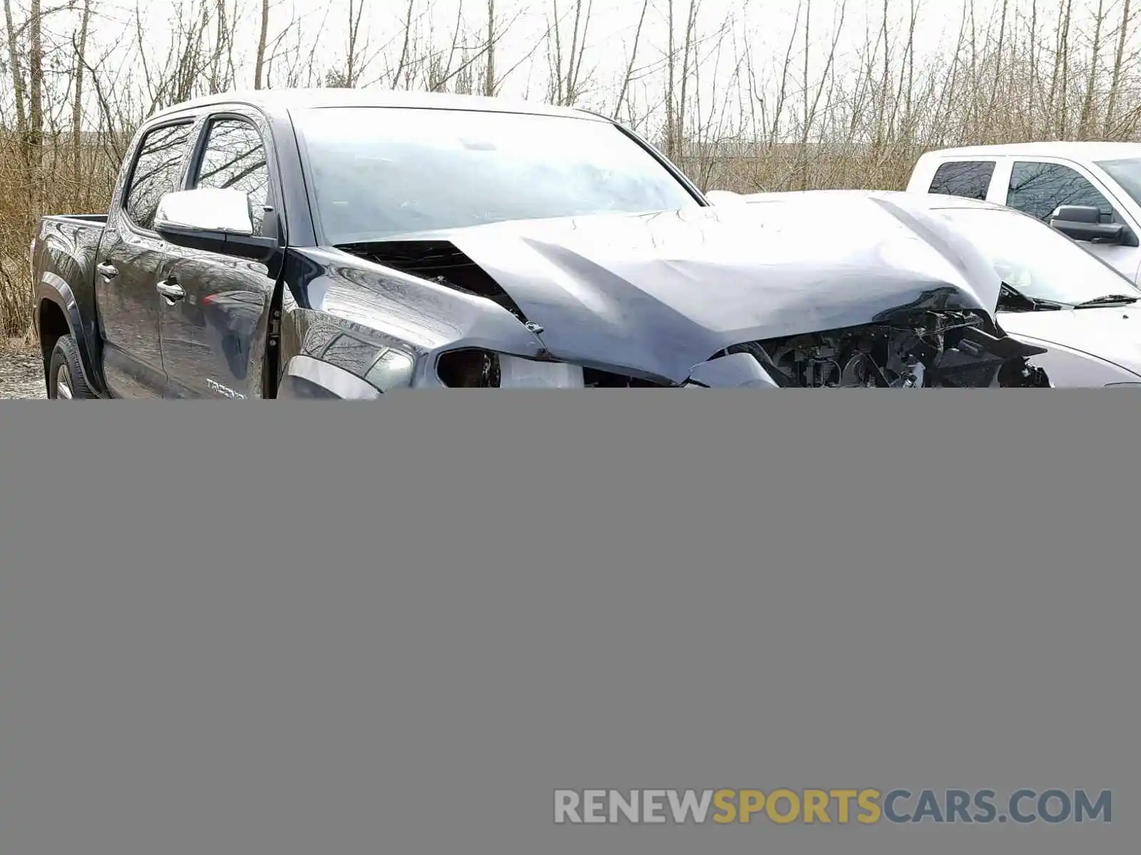 1 Photograph of a damaged car 3TMGZ5AN2KM222194 TOYOTA TACOMA DOU 2019