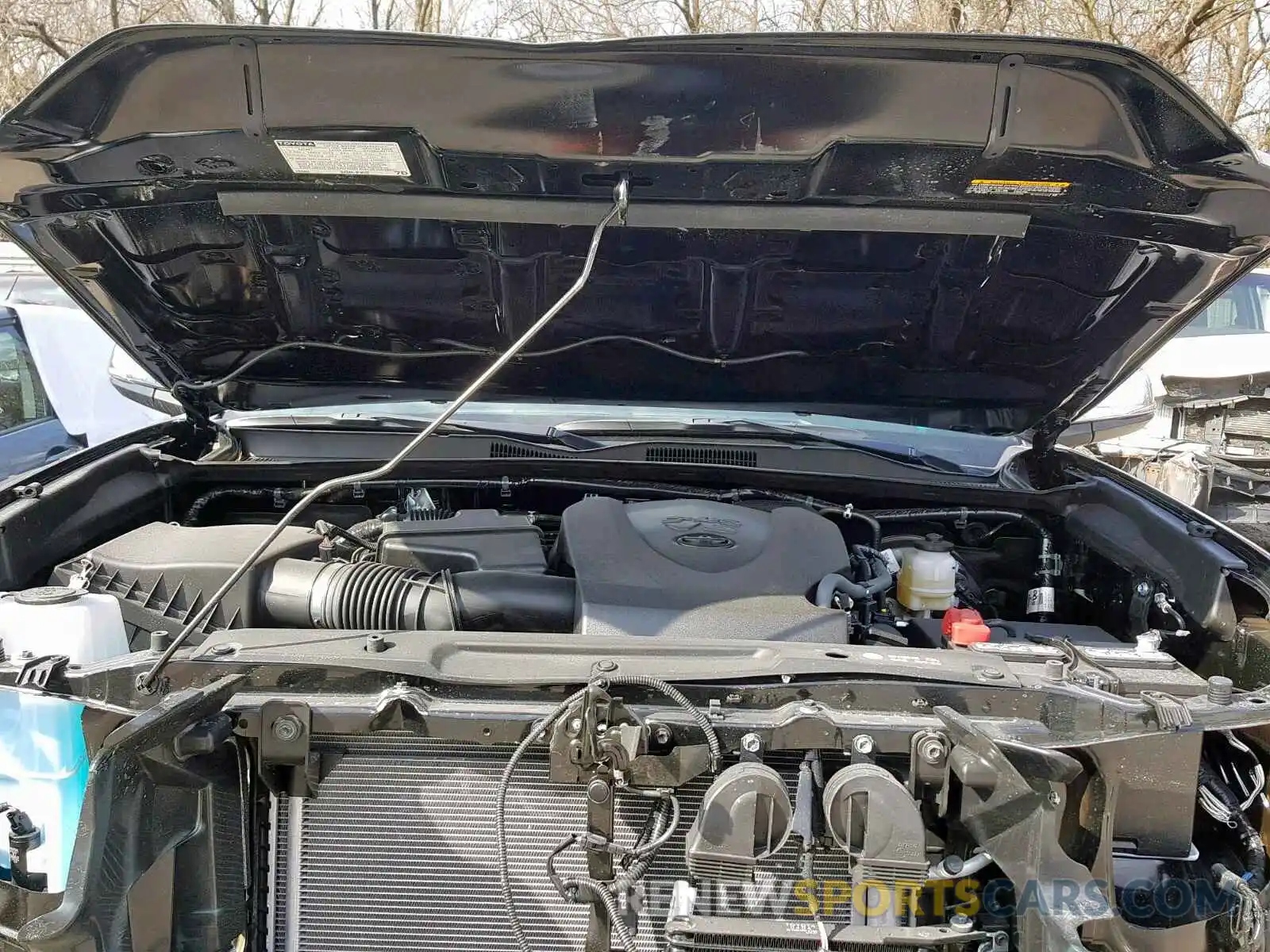 7 Photograph of a damaged car 3TMGZ5ANXKM208530 TOYOTA TACOMA DOU 2019