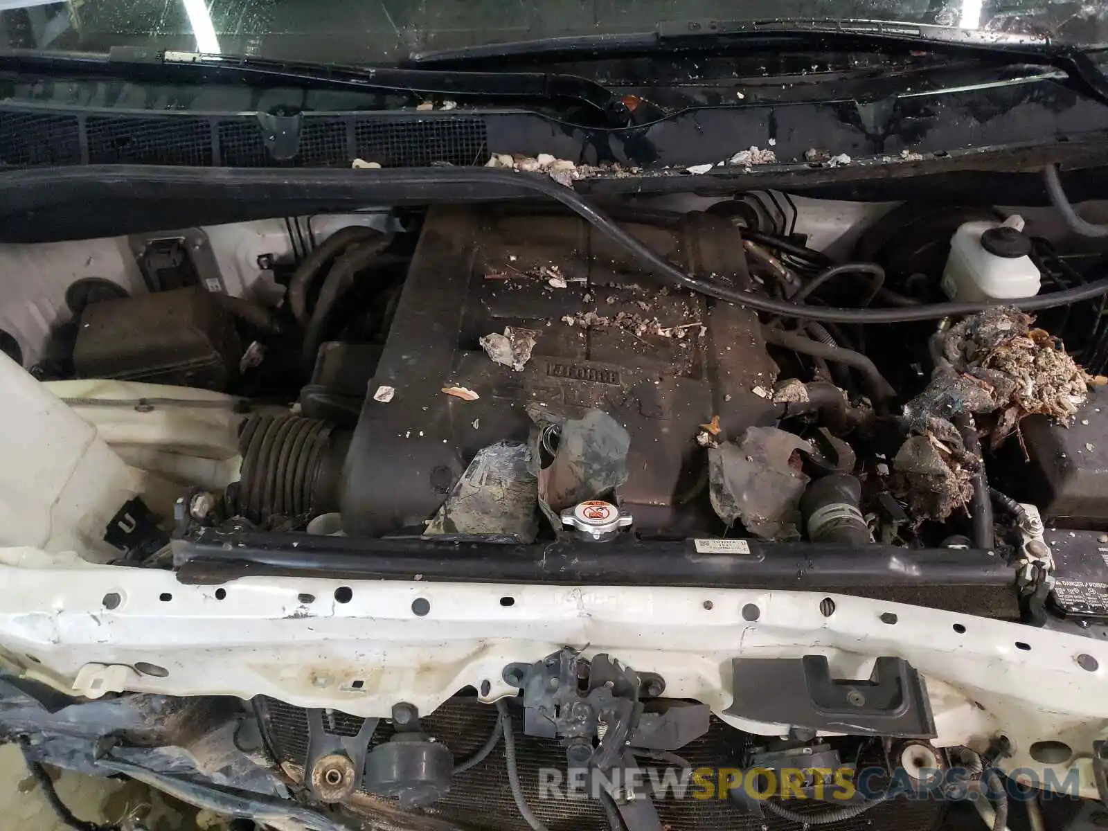 7 Photograph of a damaged car 5TFDW5F1XKX779902 TOYOTA TUNDRA 2019