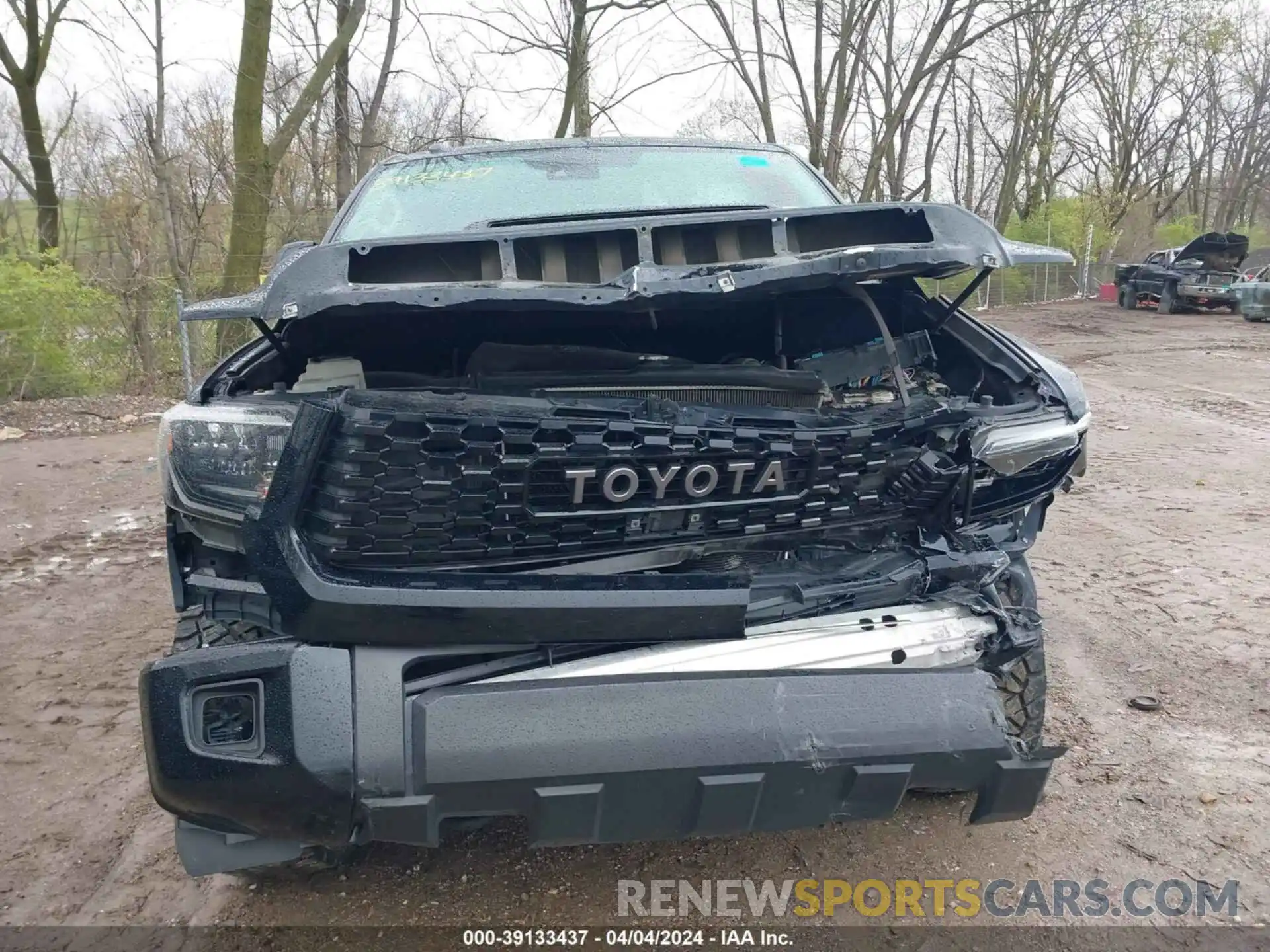 12 Photograph of a damaged car 5TFDY5F1XKX803528 TOYOTA TUNDRA 2019