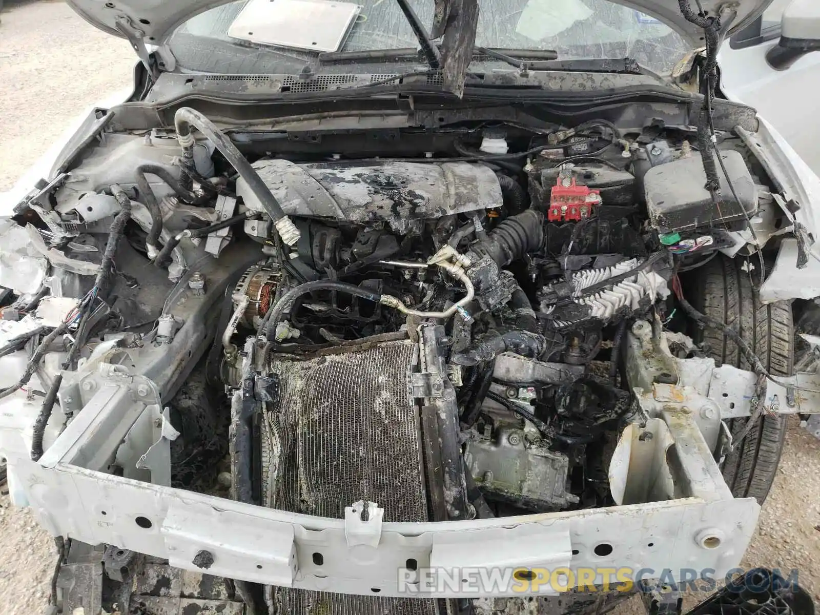 7 Photograph of a damaged car 3MYDLBYV4KY510446 TOYOTA YARIS 2019